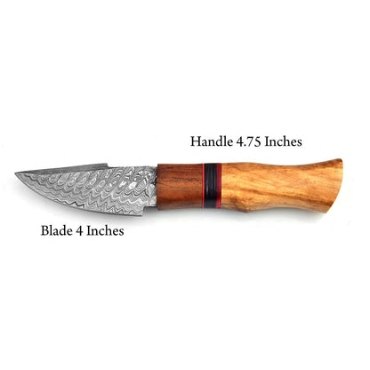 dimension image of damascus hunting knife with measurements labeled