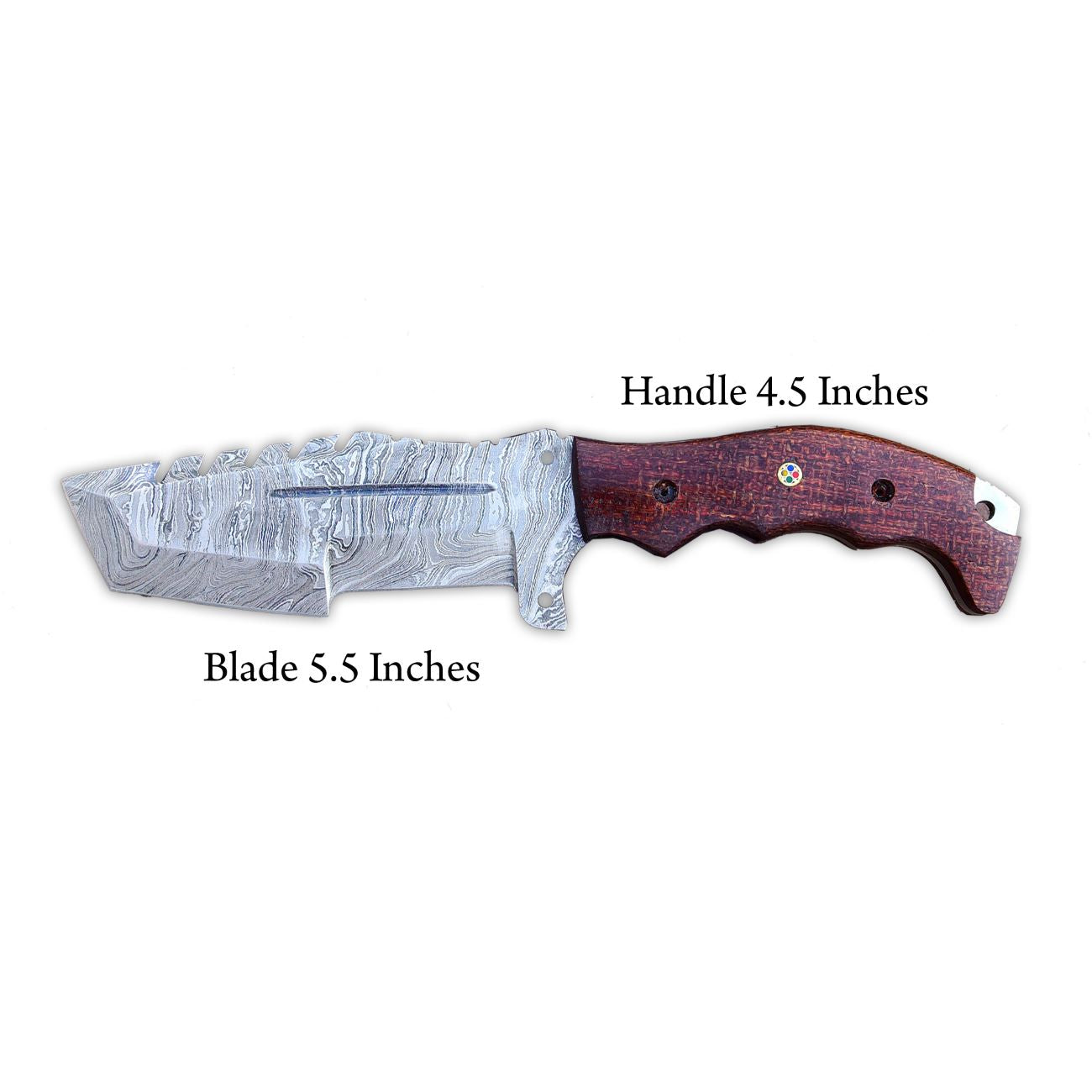 Side view showing 5.5-inch blade and 4.5-inch Micarta handle proportions – DXH-1101
